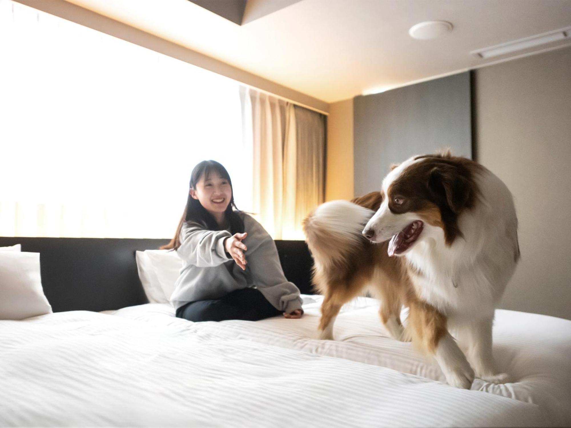 Hotel Anddoggy Kyoto Nijo 외부 사진